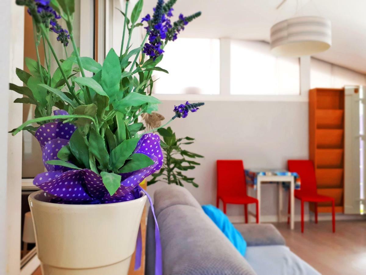 Apartment Matej Rovinjsko Selo Dış mekan fotoğraf